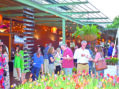 Guests tiptoe through the tulips