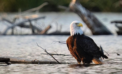 Shutterbugs, get your lenses on!