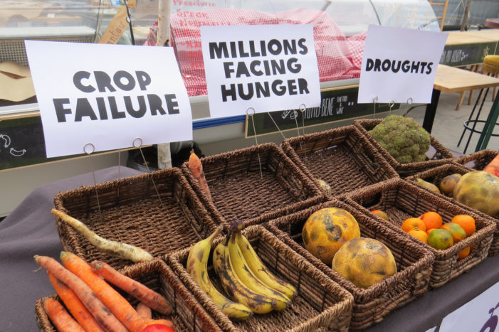 Climate change’s effect on food topic of talk