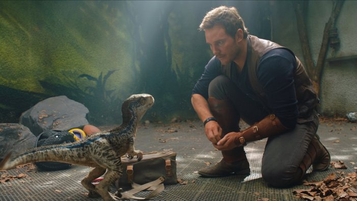 Lack of intelligent thought leads to a ‘Fallen Kingdom’