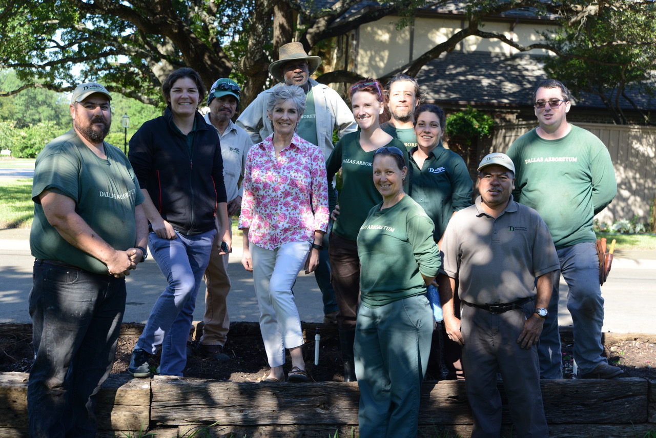 Texas ‘rose Lady’ Donates 200 Rose Bushes To Garden – White Rock Lake 