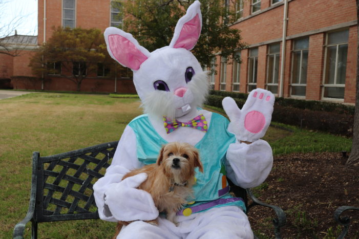 Church offers a dog park Easter