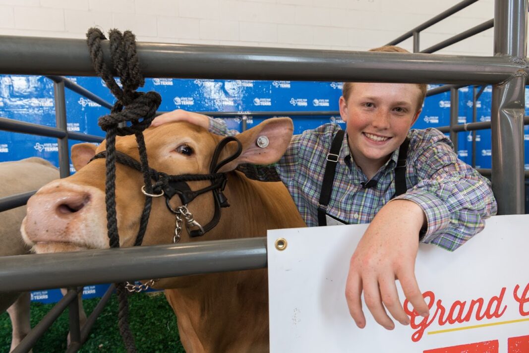 State Fair livestock shows revised White Rock Lake Weekly