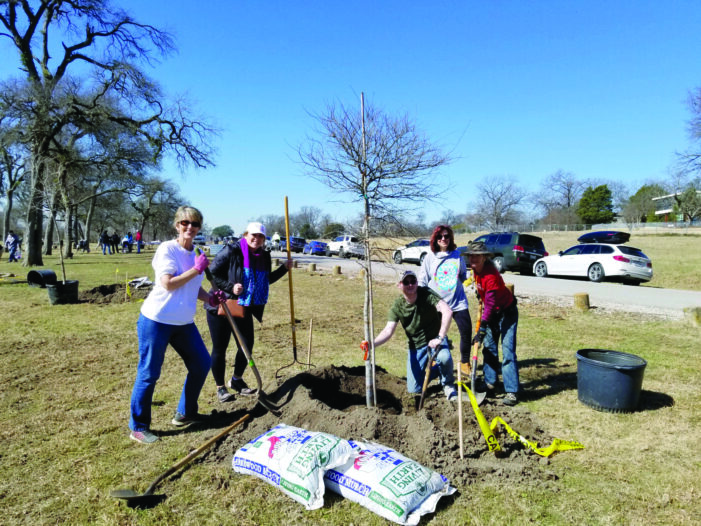 Volunteers join forces to plant deep roots