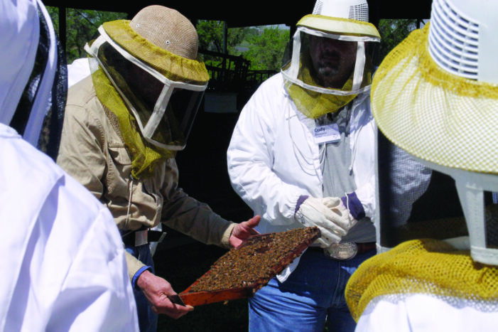 Brenham bee school invites all to learn