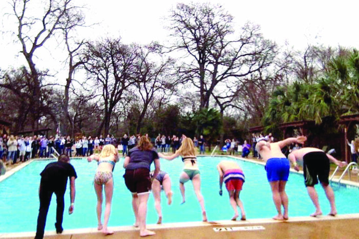 Plungers take cold dive for good cause