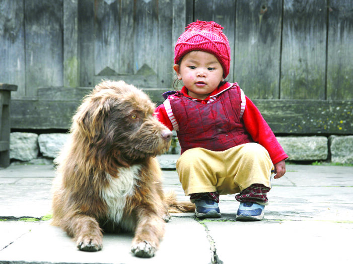 Learn the dos and don’ts of children, pets