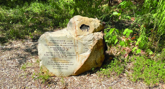 Old cemetery provides new learning experiences