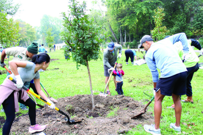 Volunteers reforest White Rock Lake Park