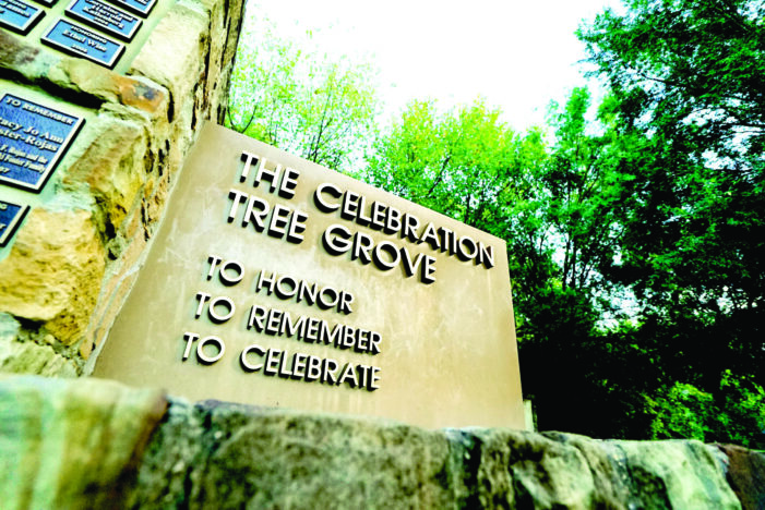 Celebration Tree Grove vandalized