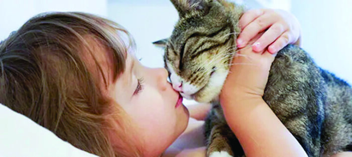 Educating children about cats protects both