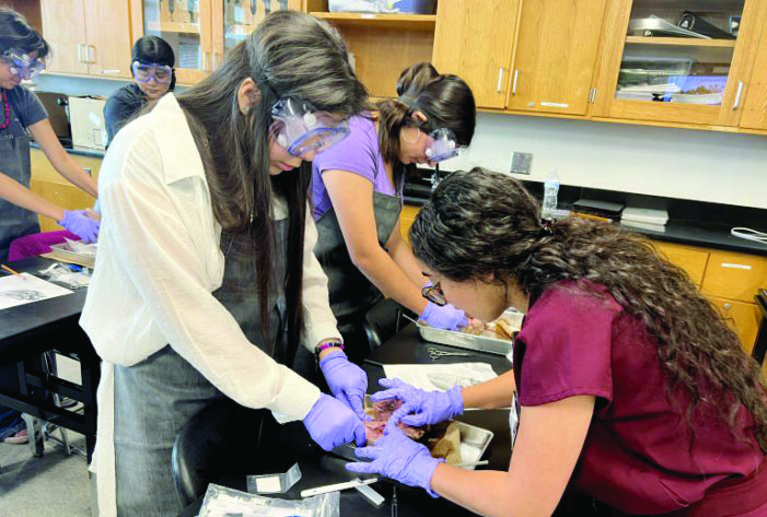 Students receive hands-on experience