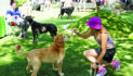 Puppy Popsicles part of Raising Cane’s event
