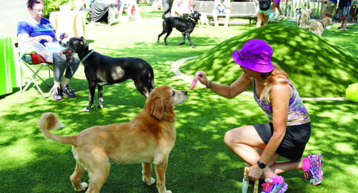 Puppy Popsicles part of Raising Cane’s event
