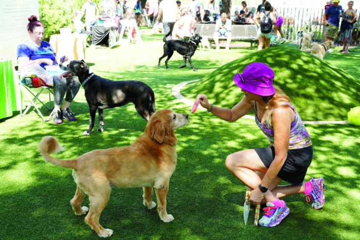 Puppy Popsicles part of Raising Cane’s event