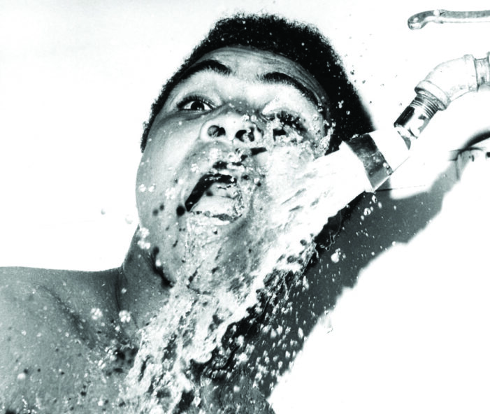 Exhibition explores portraiture, fashion, global politics