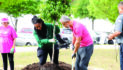 Lake gets new trees