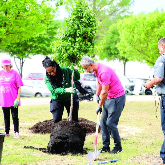 Lake gets new trees