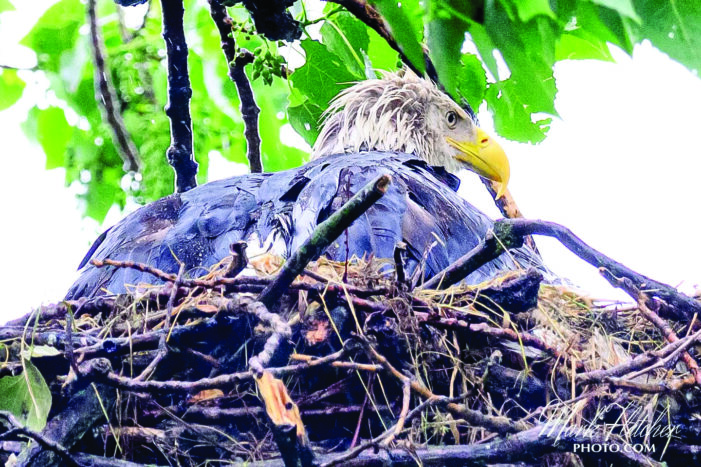 Urban Biologist meets with public every week