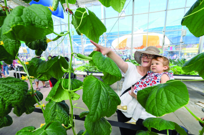 Urban Farm celebrates 10 years