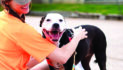 $100K donation match to help animals