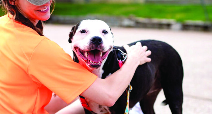 $100K donation match to help animals