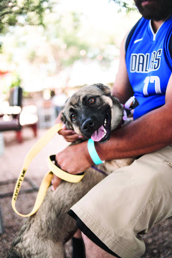 Stressful shelter environments can cause anxiety