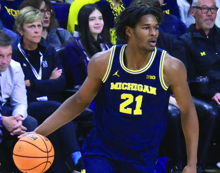 Mavs add size, winning experience to roster