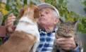 Human emotional cues affect how pets react