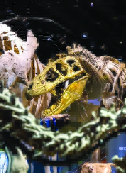 Iconic dinosaur fossils part of Labor Day fun