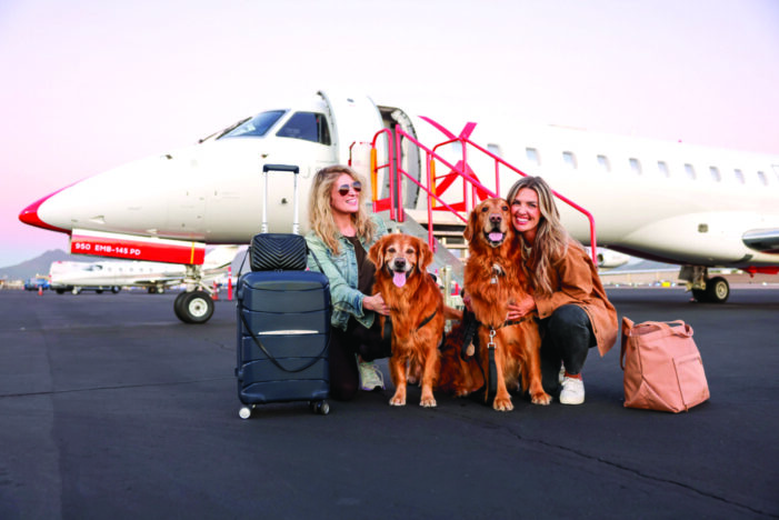 Pets for Jets campaign to welcome furry friends