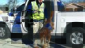 Working dogs deserve a Labor Day, too!