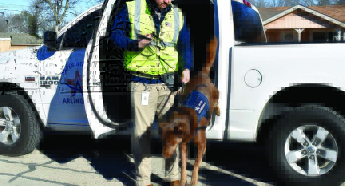Working dogs deserve a Labor Day, too!
