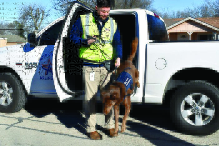 Working dogs deserve a Labor Day, too!