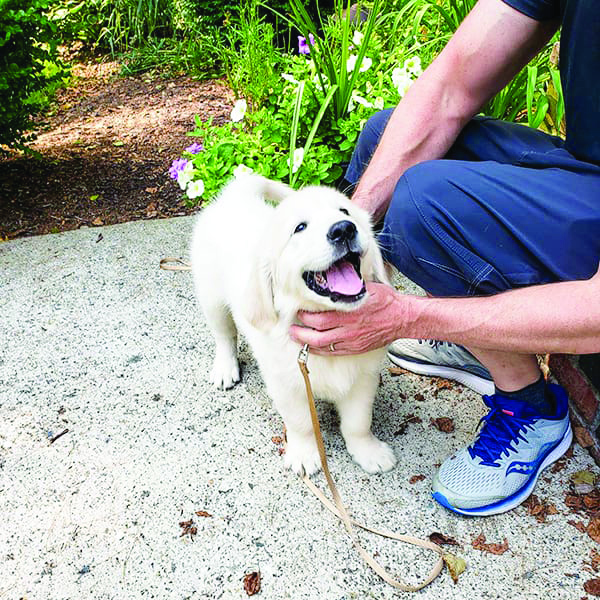Housebreaking takes patience, understanding