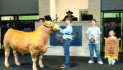 Grand Champion sells for record $227K
