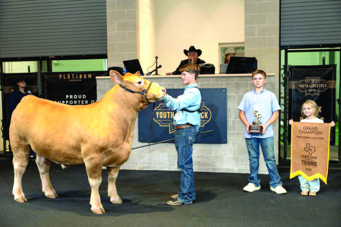 Grand Champion sells for record $227K